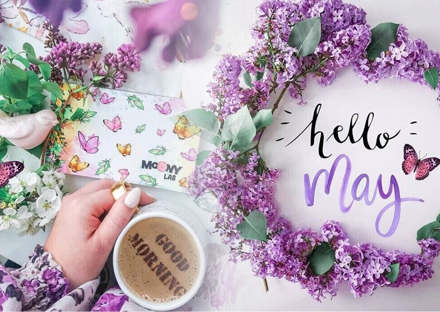 Hello may перевод